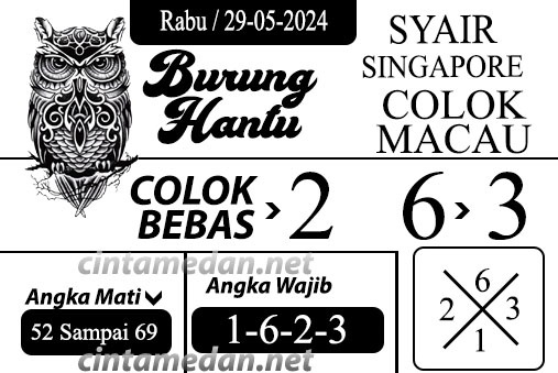 SYAIR SGP VIP